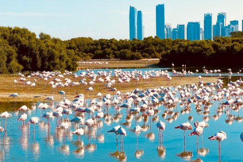 Off-plan properties for sale in Dubai - exclusive prelaunch 10